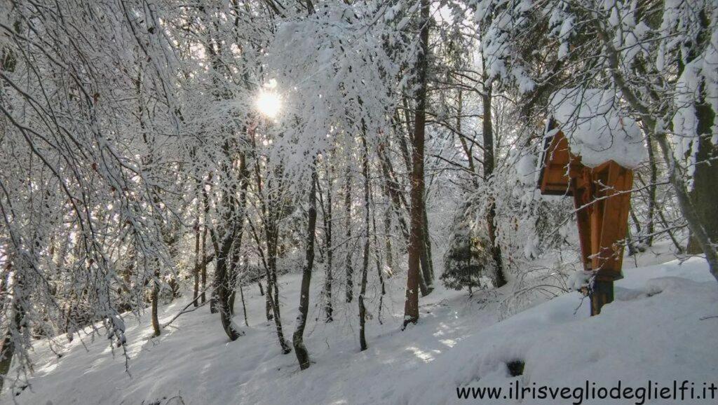 Casa Nella Natura Il Risveglio Degli Elfi Pedavena Exterior foto
